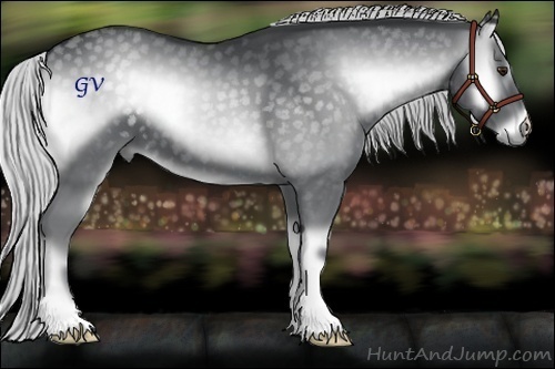 Horse Color:Silver Blue Onyx Chinchilla 