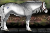 Horse Color:Silver Blue Onyx Chinchilla 