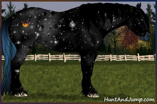 Horse Color:ERROR: UNKNOWN ANOMALY