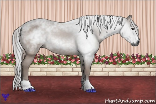 Horse Color:Gray Bay