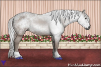 Horse Color:Gray Bay 