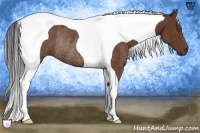 Horse Color:Bay Tobiano Rabicano 