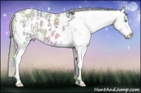 Horse Color:Nacre Watercolor Buckskin Ice Pearl Dun Splash Tobiano Appaloosa  and Nacre Watercolor Bay Ice Splash Tobiano Appaloosa 