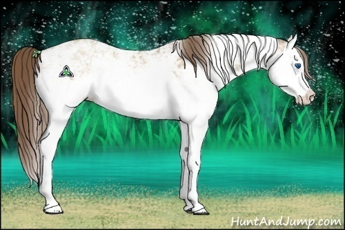 Horse Color:Grullo Pearl Sabino Splash Rabicano