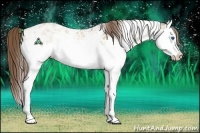 Horse Color:Grullo Pearl Sabino Splash Rabicano 