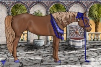 Horse Color:Chestnut Sabino