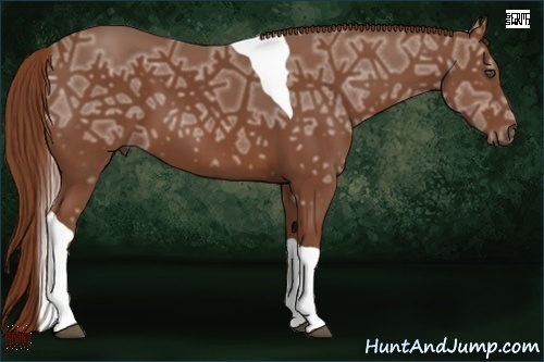 Horse Color:Chestnut Ice Tobiano 