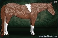 Horse Color:Chestnut Ice Tobiano 