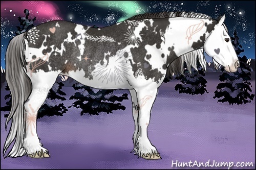 Horse Color:White Spotted Liver Chestnut Splash Rabicano 