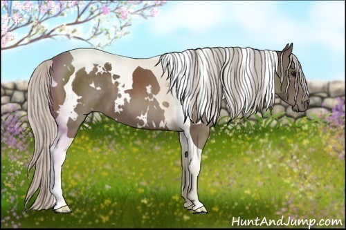 Horse Color:White Spotted Silver Black Tobiano 