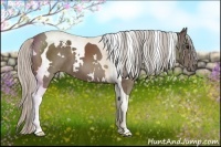 Horse Color:White Spotted Silver Black Tobiano 
