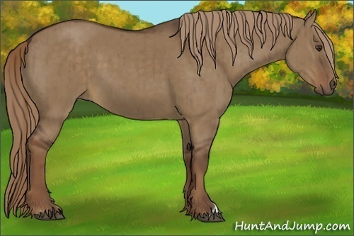 Horse Color:Liver Red Dun Brindle 
