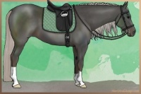 Horse Color:Silver Black 