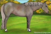 Horse Color:Silver Black 
