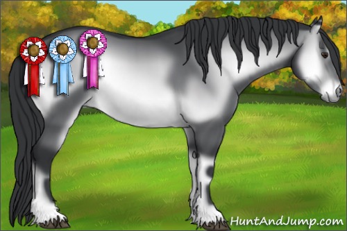 Horse Color:Brown Chinchilla Onyx 