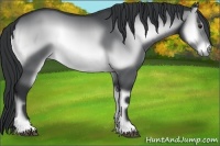 Horse Color:Brown Chinchilla Onyx 