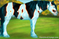 Horse Color:Gray Thunderstruck Sable Champagne Dun Tobiano Frame