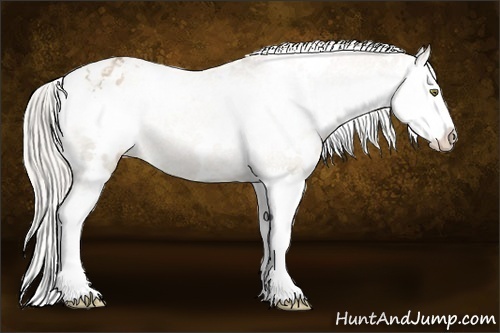 Horse Color:White Spotted Silver Black Pearl Splash Appaloosa 