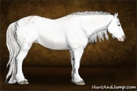 Horse Color:White Spotted Silver Black Pearl Splash Varnish