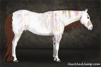 Horse Color:Red Onyx Ice 