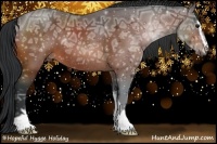 Horse Color:Bay Ice Sabino 