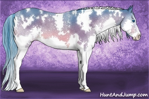 Horse Color:Watercolor White Spotted Bay Splash Rabicano 