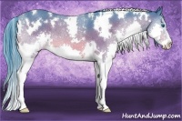 Horse Color:Watercolor White Spotted Bay Splash Rabicano