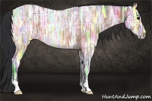 Horse Color:Bay Ice Roan 
