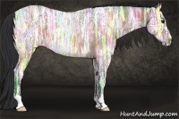 Horse Color:Bay Ice Roan 