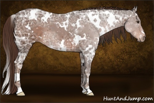 Horse Color:White Spotted Liver Chestnut Ice 