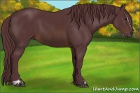 Horse Color:Chocolate Brown Sabino 