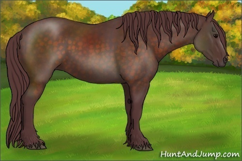 Horse Color:Chocolate Brown Sabino