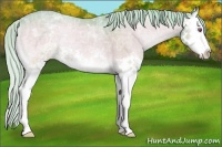 Horse Color:Watercolor White Spotted Silver Amber Champagne Chinchilla Ice Onyx Splash