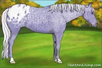 Horse Color:Watercolor Silver Black Chinchilla Ice Varnish 