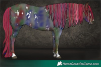 Horse Color:Painted Nacre White Spotted Liver Chestnut 