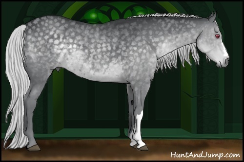 Horse Color:Silver Grullo Chinchilla 