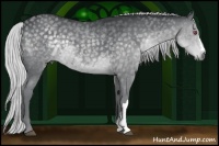 Horse Color:Silver Grullo Chinchilla 