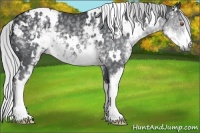 Horse Color:White Spotted Silver Smoky Black Chinchilla Rabicano