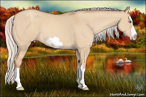 Horse Color:Silver Classic Champagne Dun Splash Frame 