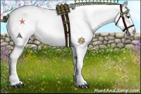 Horse Color:White Spotted Bay Appaloosa