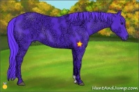 Horse Color:Watercolor Black Ice 