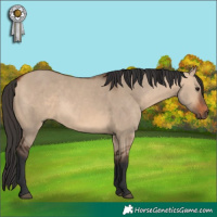 Horse Color:Brown Dun