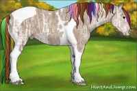 Horse Color:Painted Classic Champagne Ice Tobiano 