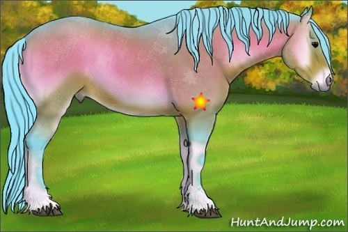 Horse Color:Watercolor Bay Onyx Sabino 