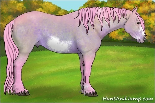 Horse Color:Watercolor Bay Sabino Frame 