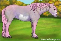 Horse Color:Watercolor Bay Sabino Frame 