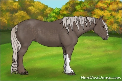 Horse Color:Silver Black 