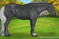 Horse Color:Silver Black Chinchilla