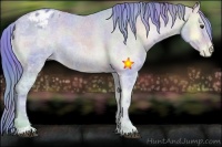 Horse Color:Nacre Watercolor Red Onyx Ice Roan Sabino Varnish 