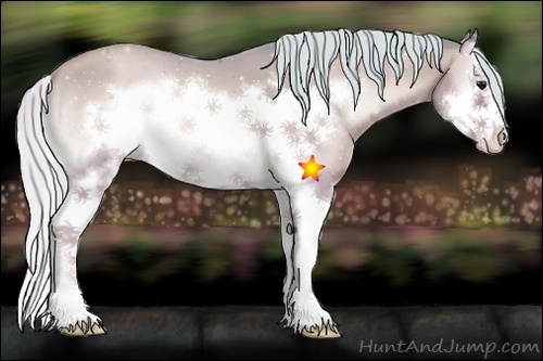 Horse Color:Watercolor Silver Classic Champagne Onyx Sabino Splash Frame